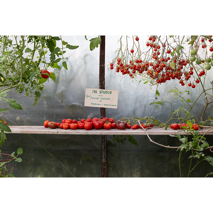 When Can We See Her?