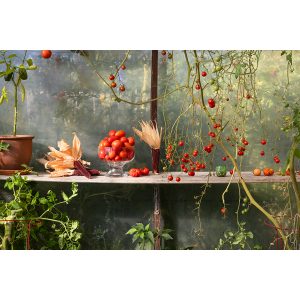 The Garden is Perfection