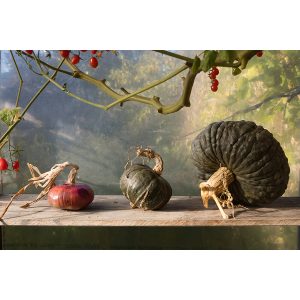 Against Bleak Days We Can't Foresee