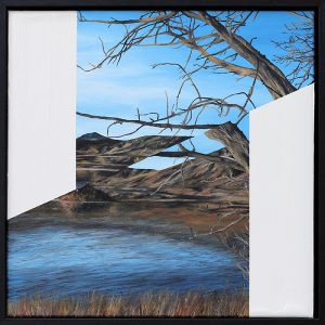 Te Puna a Taka / Lake Clearwater