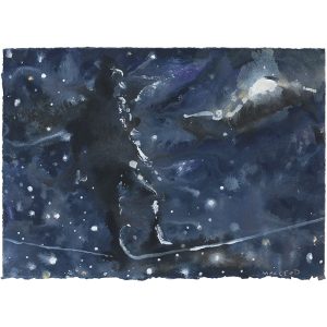 High Wire study