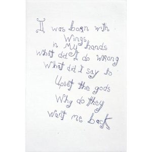 'I was born with wings in my hands' by John Pule