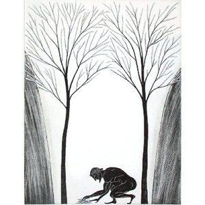 Ajax at Manuka Gully