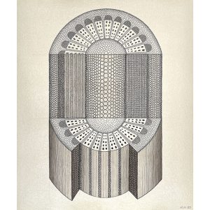 After Nehemiah Grew: 'Part of a Vine Branch cut transversly and splitt downe y midle'