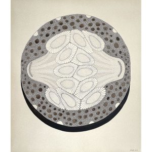 After Nehemiah Grew: 'A Goosberry cut transversly'