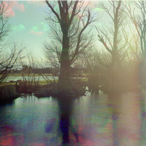Pūharakekenui Styx River, Brooklands Red Zone, 2022