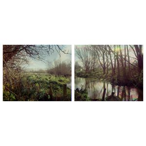 Pūharakekenui Styx River, Styx Mill Conservation Reserve, Northwood, 2022