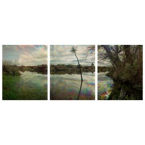 Pūharakekenui Styx River, Brooklands Red Zone, 2022