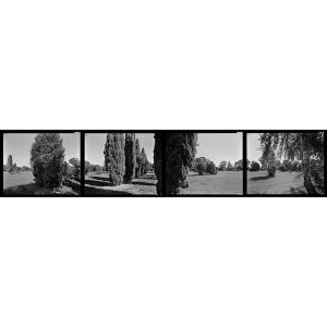 Sentinels, 240 degree panorama, 2019. Halley Place, Avonside, Christchurch