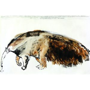 Giant South American Anteater
