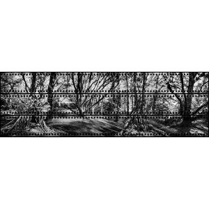 Shelter